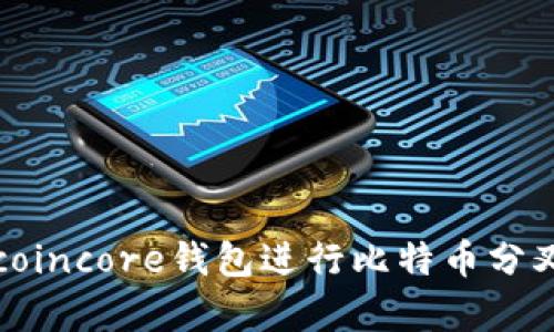 如何使用Bitcoincore钱包进行比特币分叉：指南与解析