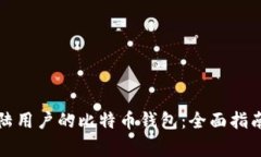 如何选择适合大陆用户的