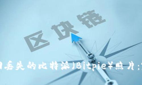 如何找回丢失的比特派（Bitpie）照片：完整指南