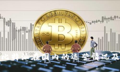 要了解比特派在国内的运营情况及其影响