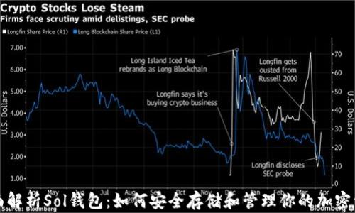 
全面解析Sol钱包：如何安全存储和管理你的加密资产