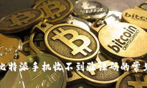 解决比特派手机收不到验证码的常见问题