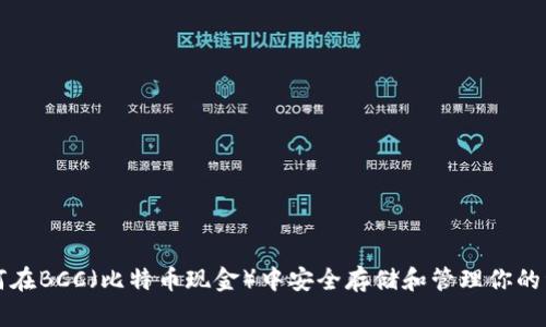 如何在BCC（比特币现金）中安全存储和管理你的资产