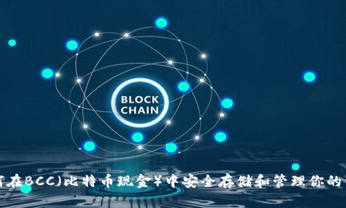 如何在BCC（比特币现金）中安全存储和管理你的资产