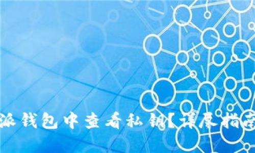 如何在比特派钱包中查看私钥？详尽指南与安全提示
