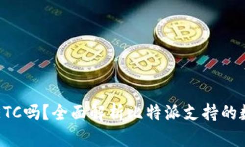 比特派钱包支持ETC吗？全面解析比特派支持的数字货币及其功能