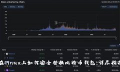 在Linux上如何安全替换比特
