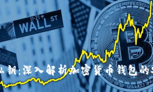 内容
钱包只能存私钥：深入解析加密货币钱包的安全性与功能