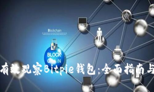 如何有效观察Bitpie钱包：全面指南与技巧