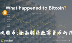 VV钱包与比特币：全面解析