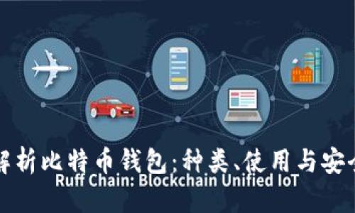 全面解析比特币钱包：种类、使用与安全指南