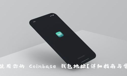 如何找到和使用你的 Coinbase 钱包地址？详细指南与常见问题解答