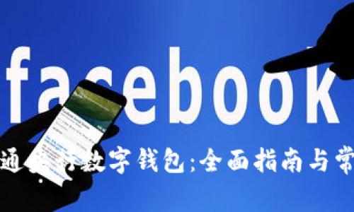 如何成功开通央行数字钱包：全面指南与常见问题解答