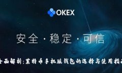 全面解析：莱特币手机版