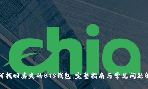 如何找回丢失的BTS钱包：完整指南与常见问题解答