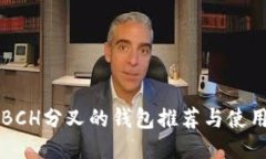 支持BCH分叉的钱包推荐与使用指南