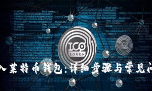 如何导入莱特币钱包：详细步骤与常见问题解答