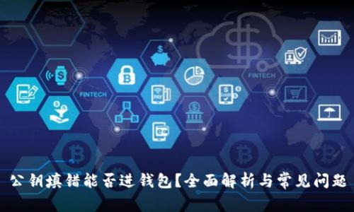 公钥填错能否进钱包？全面解析与常见问题
