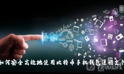 如何安全高效地使用比特币手机钱包进行支付