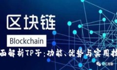 全面解析TP子：功能、优势与实用技巧